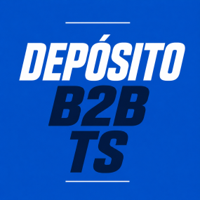 Deposito B2B TS